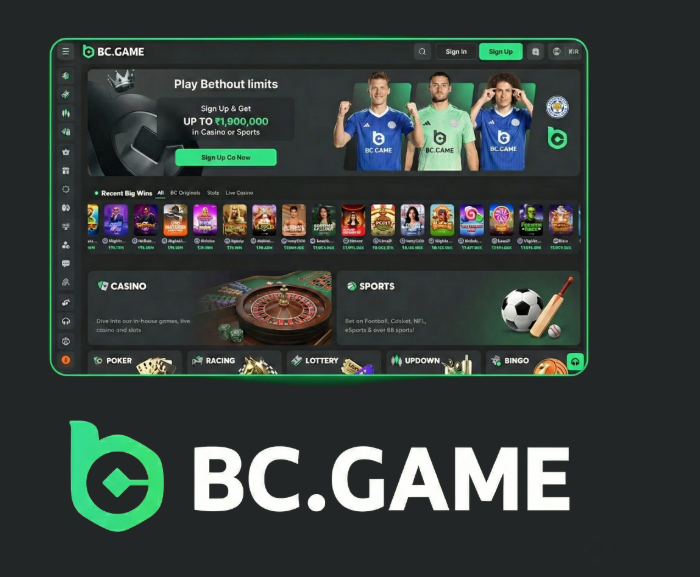 Explore the Exciting World of BC.Game Crypto Casino -385462416