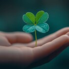 From a Friend’s Perspective: What Unlimluck Really Looks Like